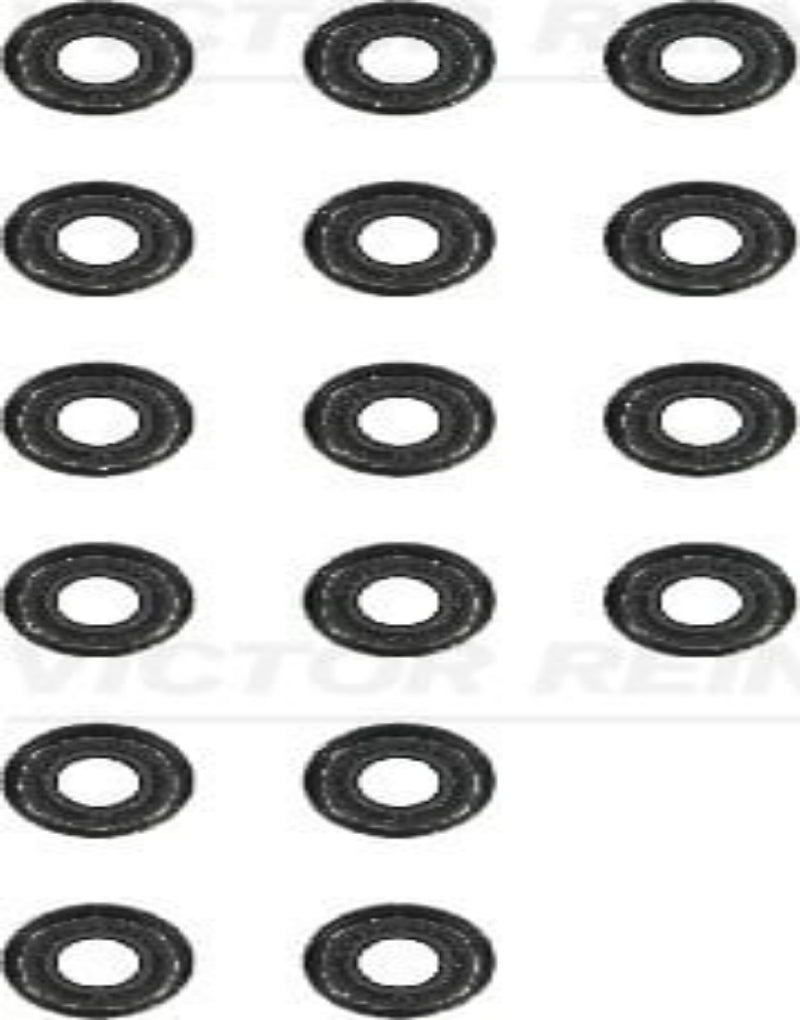 Victor Reinz Engine Valve Stem Oil Seal Set 0 12-31306-12