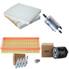 OEM Volkswagen Polo IV (9N, 9A) 1.4 16V 2002 - 2006 Major Service Kit Parts AUA/ BBY/ BKY